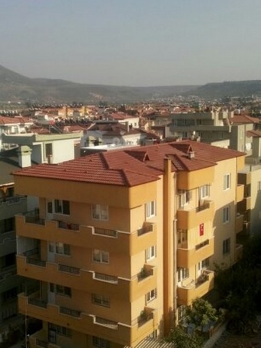1445871199944_450x600